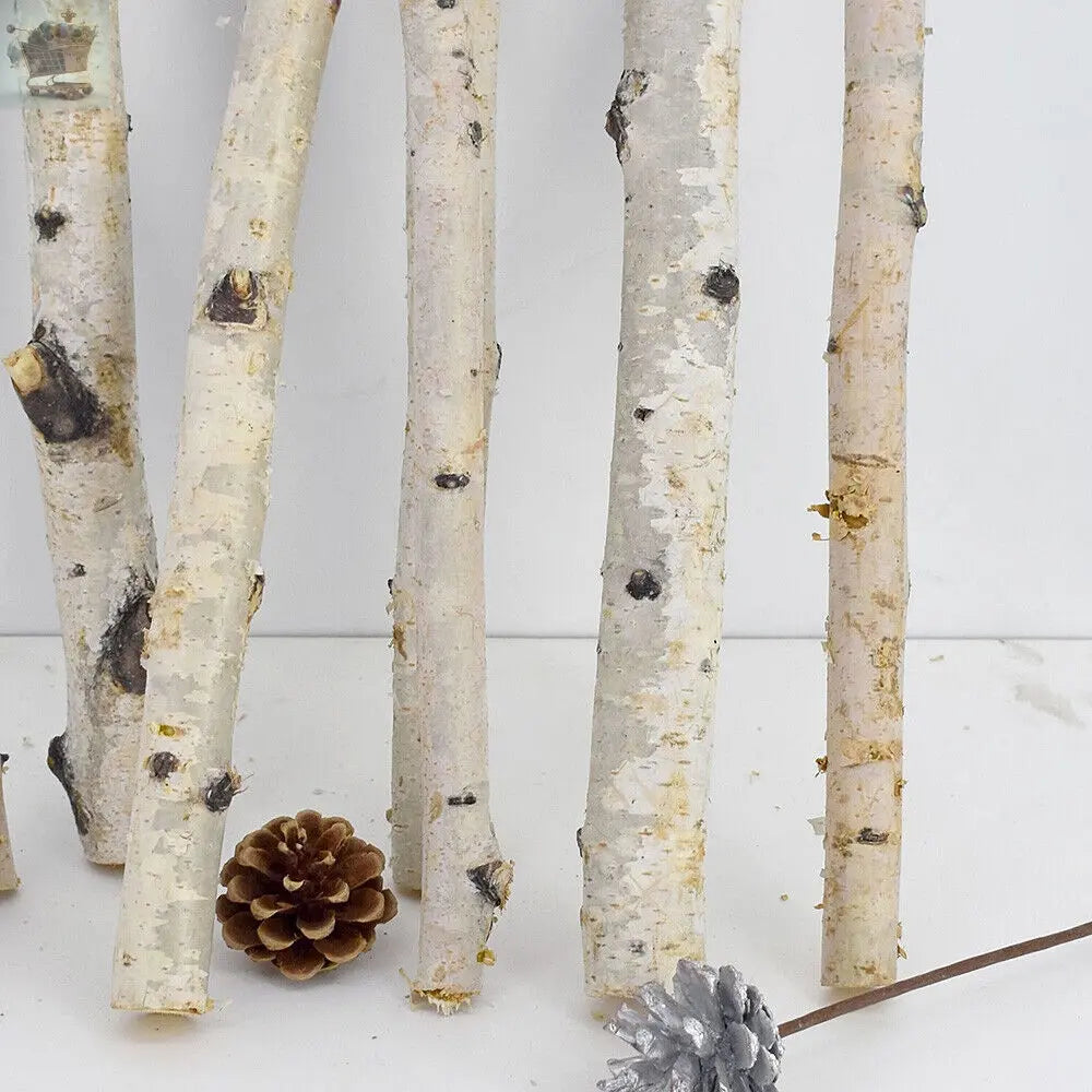 Natural Dried Fine Branch Birch Stick DIY Home Garden Floral Decor Ornaments Royalcart