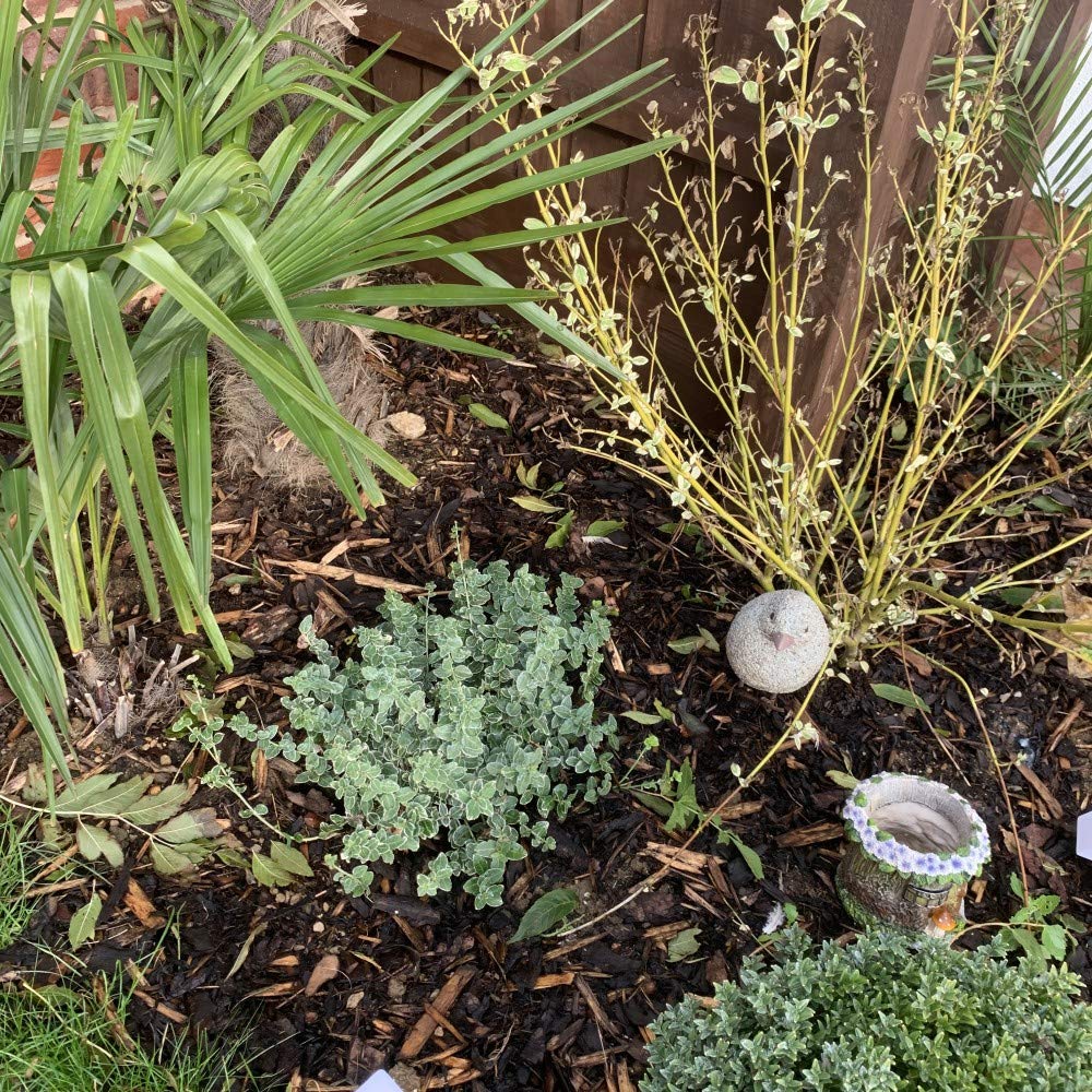 800L Decorative Garden Chip Bark Bale Ideal for Adding a Professional Touch to Beds Borders Containers and Ground