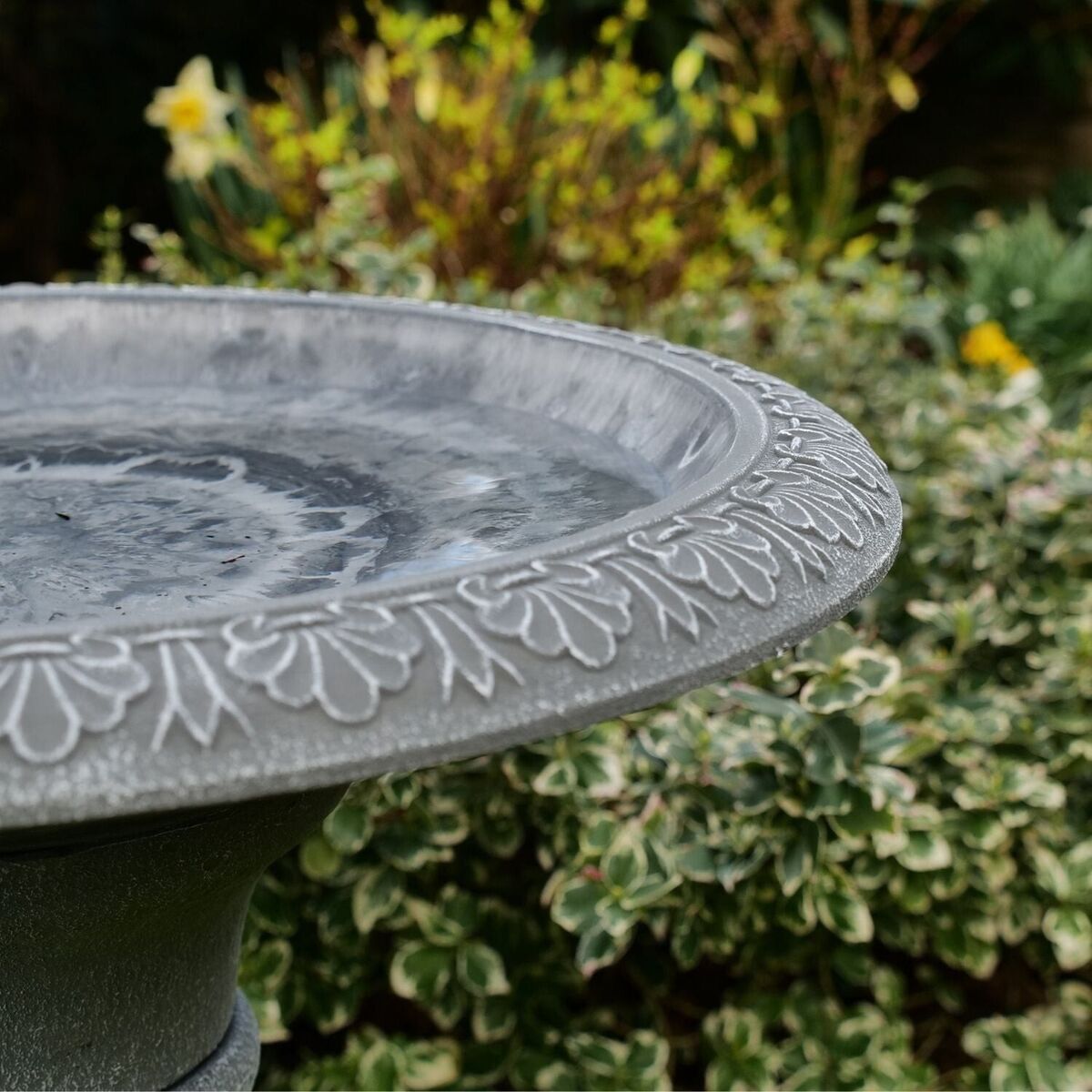 Grey Cameo Bird Bath complete with a tall stem Royalcart